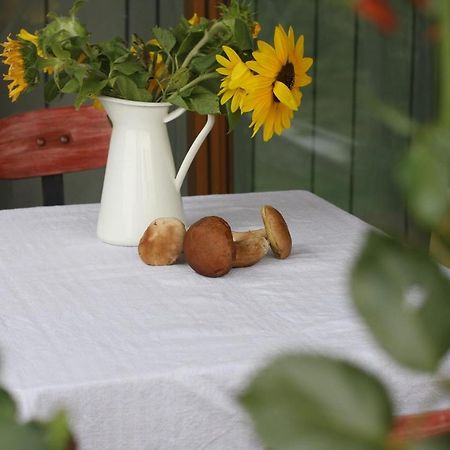 Holiday Home Trnavsko Bogojina Ngoại thất bức ảnh