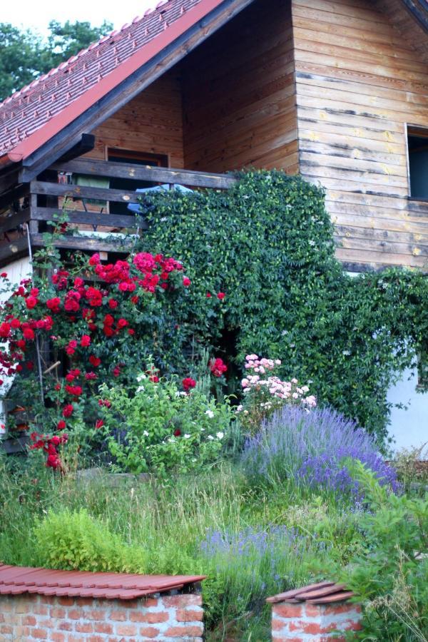 Holiday Home Trnavsko Bogojina Ngoại thất bức ảnh