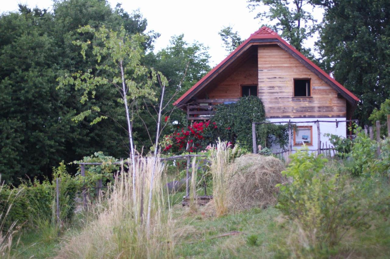 Holiday Home Trnavsko Bogojina Ngoại thất bức ảnh