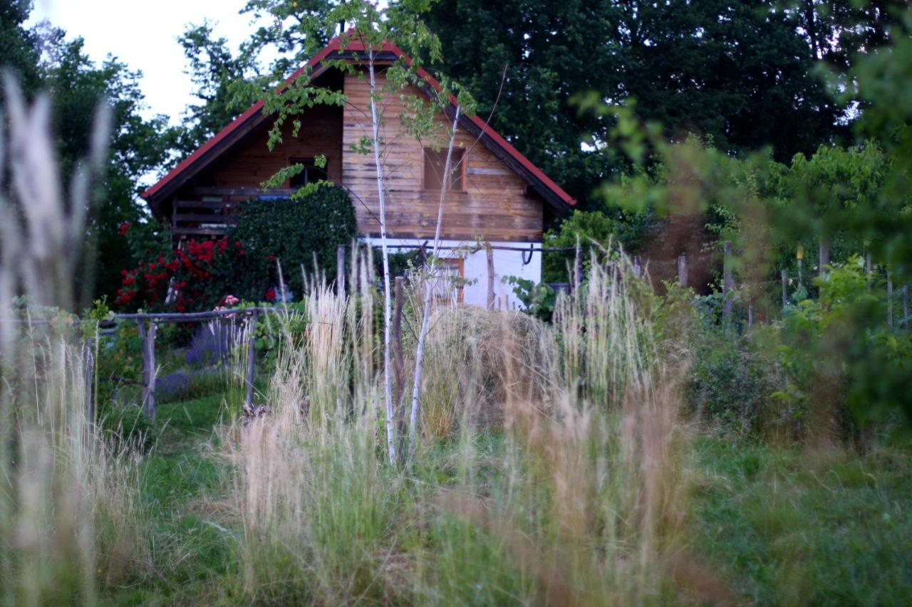 Holiday Home Trnavsko Bogojina Ngoại thất bức ảnh