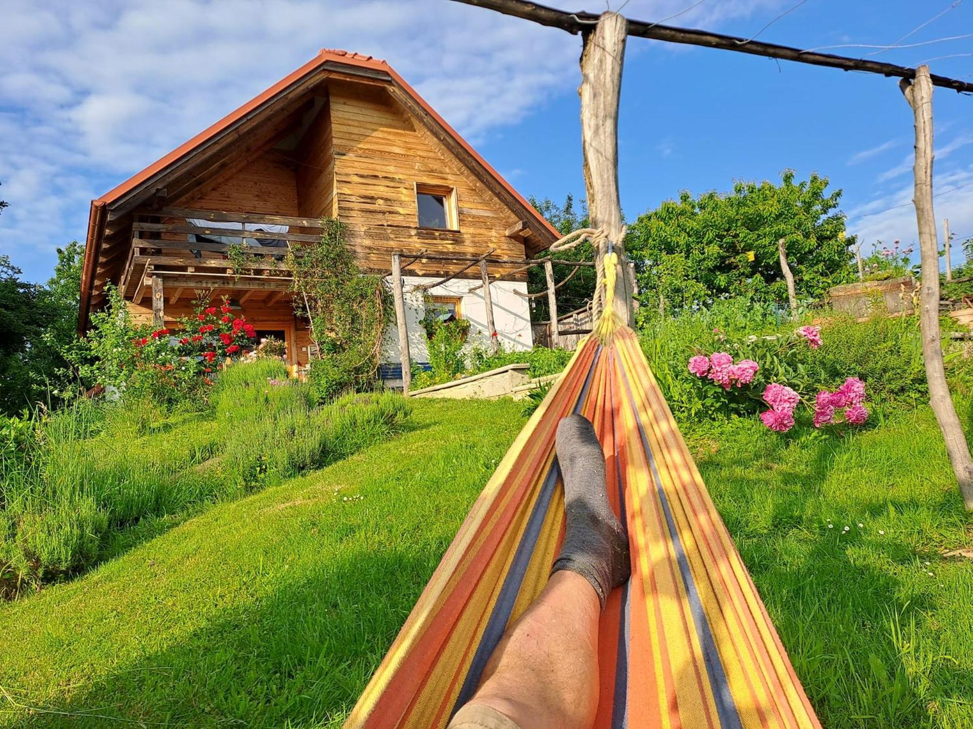 Holiday Home Trnavsko Bogojina Ngoại thất bức ảnh